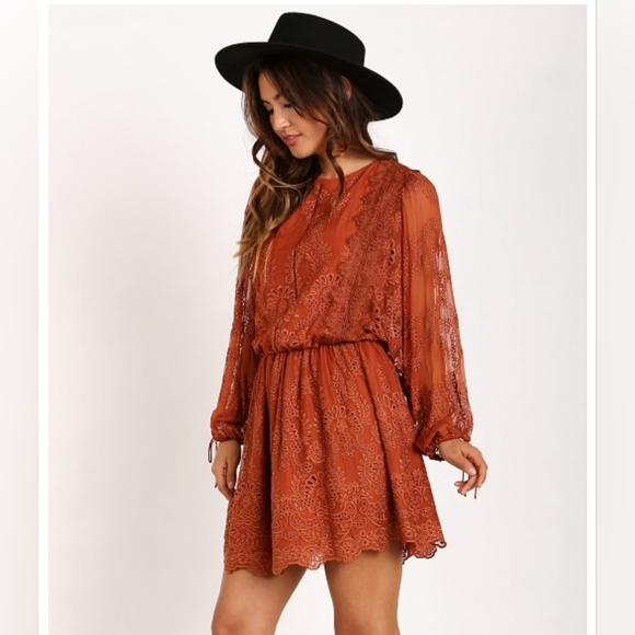 Zimmermann Alchemy Twine Embroidery Copper Dress Size 1 US 4-6 - Picture 2 of 15